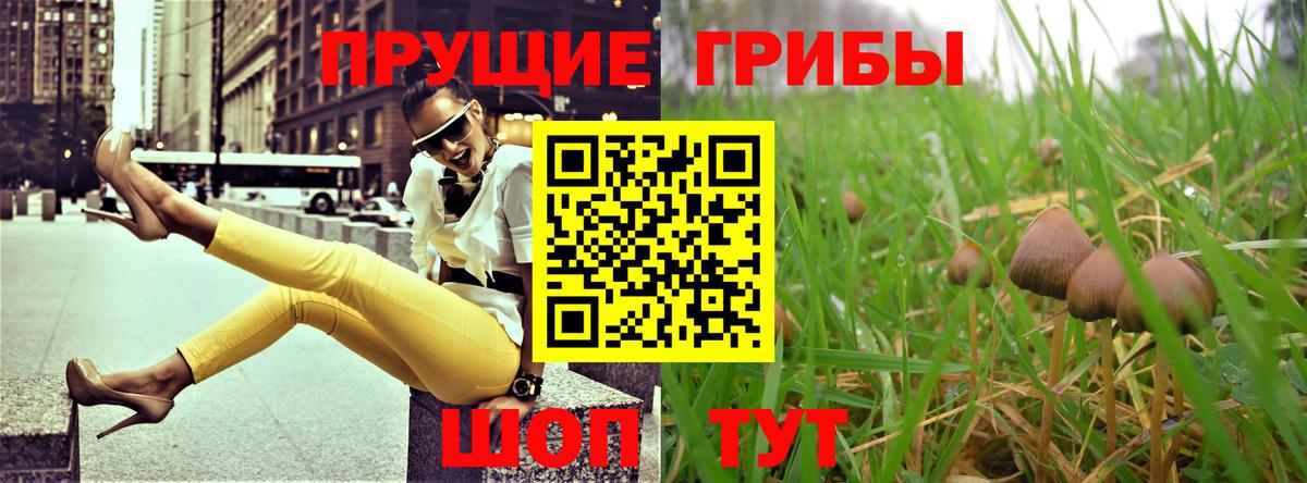 как найти наркотики  Вход с VPN  Гудермес  Галлюциногенные грибы MAGIC MUSHROOMS 